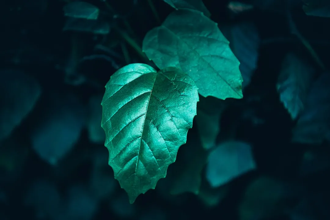 成都指尖时代安防监控设备与门禁控制器技术参数对比分析